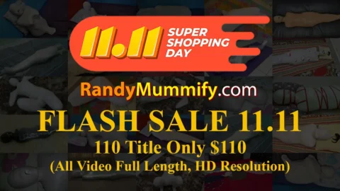 PROMO 11.11 Flash Sale Day