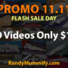 PROMO 11.11 Flash Sale Day