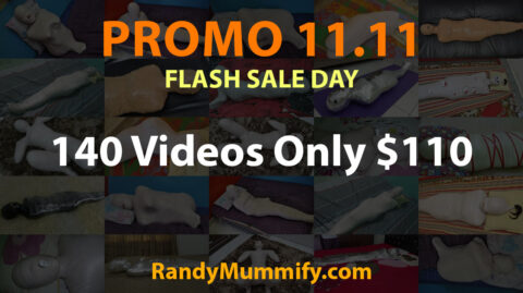 PROMO 11.11 Flash Sale Day