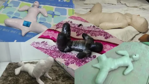 Compilation Ver.08 : Frogtied (5 in 1)