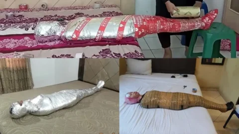 Compilation Ver.25 : Many-Layers Mummification (3 in 1)
