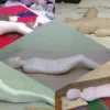 Compilation Ver.27 : First Time Mummification (5 in 1)