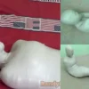 Compilation Ver.39 : Editor Choice Mummification (3 in 1)