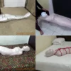 Compilation Ver.34 : Swimsuit Mummification (4 in 1)