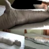 Compilation Ver.50 : X Cocoa-Soft Mummification (3 in 1)