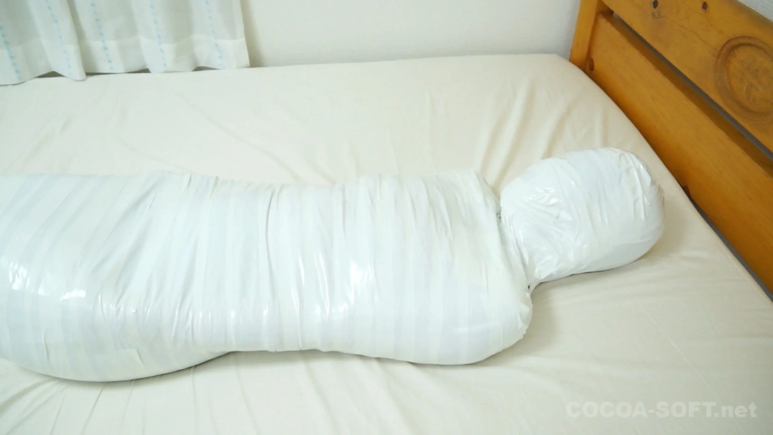 Mummification ver.020